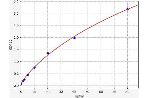 Typical standard curve (ENPP2 Kit ELISA)