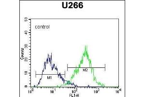 C Antibody (C-term) (Ascites) ABIN1539995 flow cytometric analysis of  cells (right histogram) compared to a negative control cell (left histogram).