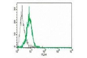 Flow cytometric analysis with the B-N40 monoclonal antibody on YT cell line (NCR1 anticorps)