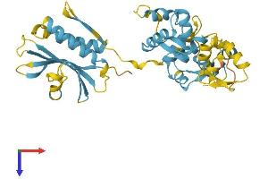 AlphaFold protein structure predicition of Human Recombinant NPRL2 Protein, UniprotID Q8WTW4
