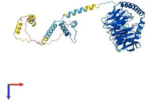 AlphaFold protein structure predicition of Mouse Recombinant Prpf4 Protein, UniprotID Q9DAW6