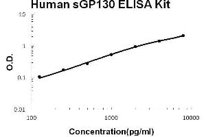 Human Gp130/IL6ST PicoKine ELISA Kit standard curve (CD130/gp130 Kit ELISA)