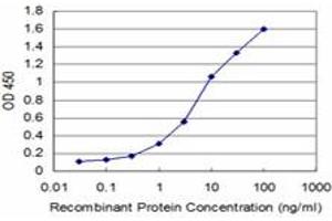 Detection limit for recombinant GST tagged HMGB2 is approximately 0. (HMGB2 anticorps  (AA 1-195))