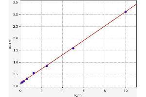 Typical standard curve (Collagen Type I Kit ELISA)
