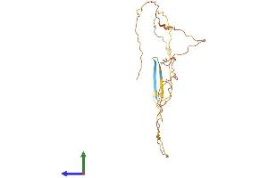 AlphaFold protein structure predicition of Mouse Recombinant Fam220a Protein, UniprotID Q3ZN08