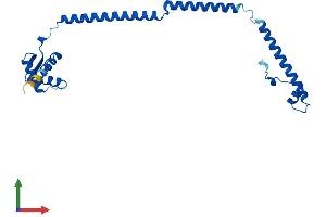 AlphaFold protein structure predicition of Human Recombinant PSMC3IP Protein, UniprotID Q9P2W1