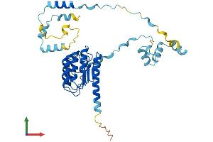 AlphaFold protein structure predicition of Human Recombinant TMOD1 Protein, UniprotID P28289