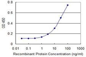 Detection limit for recombinant GST tagged GRM8 is 0.