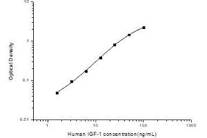 Insulin-Like Growth Factor 1 (IGF1) ELISA Kit