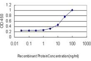 Detection limit for recombinant GST tagged PAX7 is approximately 3ng/ml as a capture antibody. (PAX7 anticorps  (AA 411-520))