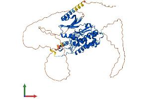 AlphaFold protein structure predicition of Mouse Recombinant Cdc7 Protein, UniprotID Q9Z0H0