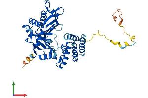 AlphaFold protein structure predicition of Human Recombinant TENT5C Protein, UniprotID Q5VWP2