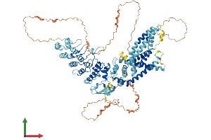 AlphaFold protein structure predicition of Human Recombinant TRPV1 Protein, UniprotID Q8NER1