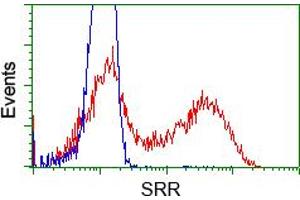 HEK293T cells transfected with either pCMV6-ENTRY SRR (RC210359) (Red) or empty vector control plasmid (Blue) were immunostained with anti-SRR mouse monoclonal (ABIN2453693), and then analyzed by flow cytometry. (SRR anticorps)