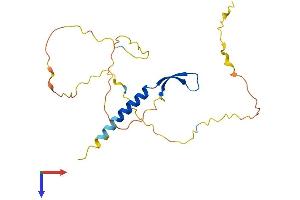 AlphaFold protein structure predicition of Human Recombinant BCL7B Protein, UniprotID Q9BQE9