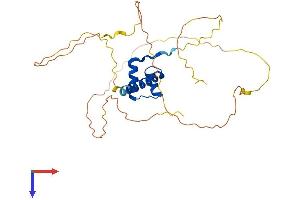 AlphaFold protein structure predicition of Human Recombinant OTX2 Protein, UniprotID P32243
