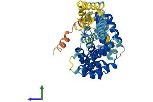 AlphaFold protein structure predicition of Mouse Recombinant Ifit3 Protein, UniprotID Q64345