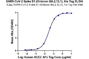 ELISA image for SARS-CoV-2 Spike S1 (BA.2.12.1 - Omicron) protein (His tag) (ABIN7273902)