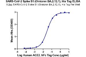 Immobilized SARS-CoV-2 Spike S1 (Omicron BA.
