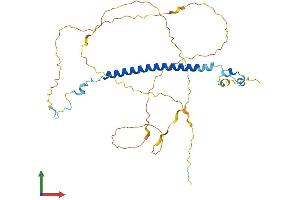 AlphaFold protein structure predicition of Human Recombinant CCDC86 Protein, UniprotID Q9H6F5