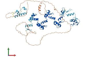 AlphaFold protein structure predicition of Human Recombinant ZNF875 Protein, UniprotID P10072