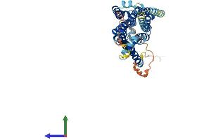 AlphaFold protein structure predicition of Human Recombinant HTR4 Protein, UniprotID Q13639