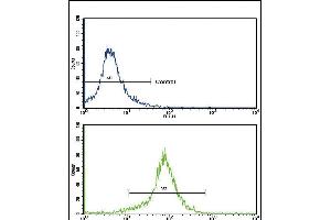 Flow cytometric analysis of K562 cells using SOD3 Antibody (N-term)(bottom histogram) compared to a negative control cell (top histogram). (SOD3 anticorps  (N-Term))
