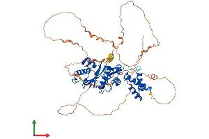 AlphaFold protein structure predicition of Mouse Recombinant Senp3 Protein, UniprotID Q9EP97