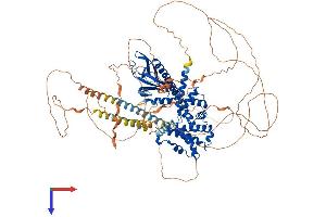 AlphaFold protein structure predicition of Mouse Recombinant Iqsec1 Protein, UniprotID Q8R0S2