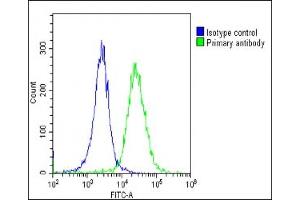 Overlay histogram showing Hela cells stained with (ABIN6244040 and ABIN6578881)(green line).