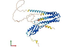 AlphaFold protein structure predicition of Human Recombinant SLC30A4 Protein, UniprotID O14863