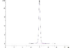 The purity of Mouse CD155 is greater than 95 % as determined by SEC-HPLC.