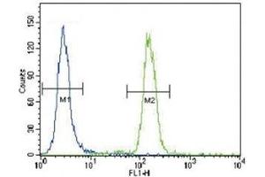 Puma antibody flow cytometric analysis of HeLa cells (right histogram) compared to a negative control (left histogram).