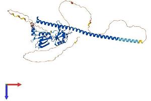AlphaFold protein structure predicition of Human Recombinant PSPC1 Protein, UniprotID Q8WXF1