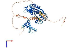 AlphaFold protein structure predicition of Mouse Recombinant Mael Protein, UniprotID Q8BVN9