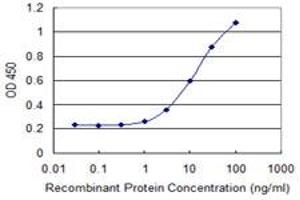 Detection limit for recombinant GST tagged C7orf38 is 0. (FAM200A anticorps  (AA 1-573))