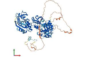 AlphaFold protein structure predicition of Human Recombinant ESRP1 Protein, UniprotID Q6NXG1