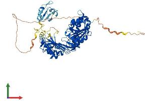 AlphaFold protein structure predicition of Human Recombinant TRMT2A Protein, UniprotID Q8IZ69