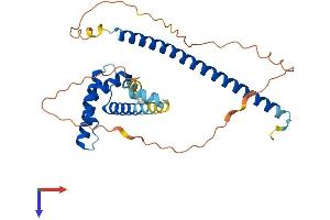 AlphaFold protein structure predicition of Mouse Recombinant Fsbp Protein, UniprotID Q8BKE5