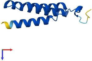 AlphaFold protein structure predicition of Human Recombinant LYRM4 Protein, UniprotID Q9HD34
