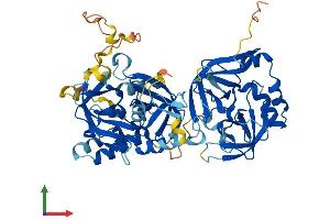 AlphaFold protein structure predicition of Human Recombinant TYSND1 Protein, UniprotID Q2T9J0