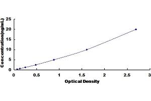 ELISA image for Mitochondrially Encoded NADH Dehydrogenase 1 (MT-ND1) ELISA Kit (ABIN1117952)