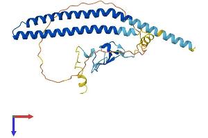AlphaFold protein structure predicition of Mouse Recombinant Ing2 Protein, UniprotID Q9ESK4