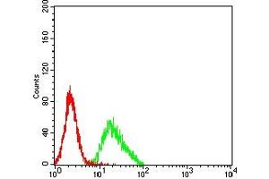 Flow cytometric analysis of K562 cells using LILRA2 mouse mAb (green) and negative control (red).