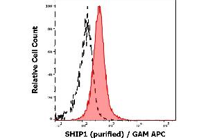 Separation of MOLT-4 cells stained using anti-SHIP1 (SHIP-02) purified antibody (concentration in sample 3 μg/mL, GAM APC, red-filled) from MOLT-4 cells unstained by primary antibody (GAM APC, black-dashed) in flow cytometry analysis (intracellular staining). (INPP5D anticorps  (N-Term))