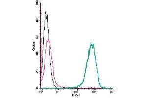 Cell surface detection of β2-Adrenergic Receptor by direct flow cytometry in live intact mouse J774 macrophage cells: (black line) Cells.