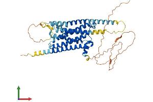 AlphaFold protein structure predicition of Human Recombinant DRD1 Protein, UniprotID P21728