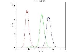 Flow Cytometry analysis of A431 cells using anti-PKC-eta antibody (ABIN3043361). (PKC eta anticorps  (AA 30-389))