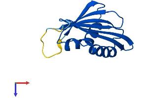 AlphaFold protein structure predicition of Human Recombinant PSMG3 Protein, UniprotID Q9BT73