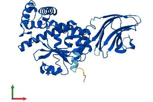 AlphaFold protein structure predicition of Human Recombinant SEC14L2 Protein, UniprotID O76054